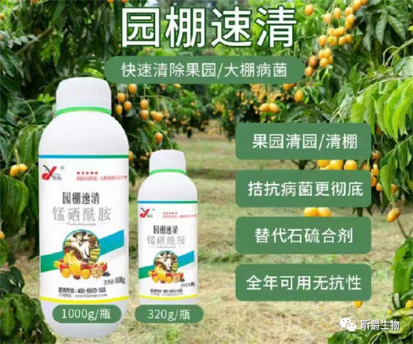 果树清园剂怎么选效果才好？园棚速清使用真实效果！