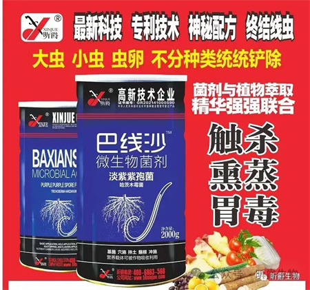 线虫杀不死就用微生物菌剂巴线沙